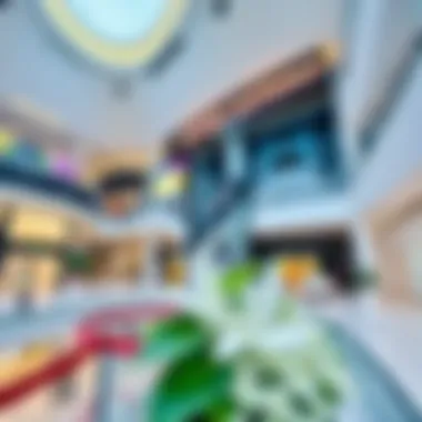 Magnificent Exploring Nation Towers Mall: The Hub of Luxury and Leisure in Dubai Magnificent Exploring Nation Towers Mall: The Hub of Luxury and Leisure in Dubai