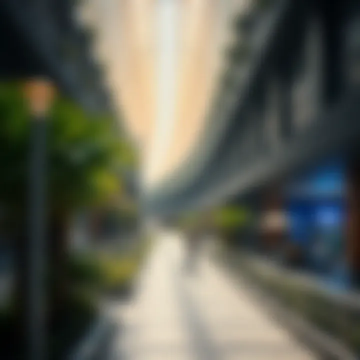 Magnificent Exploring the Fern City Walk: A Unique Urban Experience
