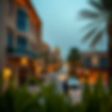 Magnificent Exploring Warsan Village: Dynamics of a Dubai Neighborhood Magnificent Exploring Warsan Village: Dynamics of a Dubai Neighborhood
