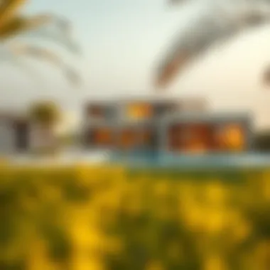 Magnificent The Evolution and Impact of Eco Homes in Dubai