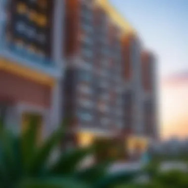 Exploring 1BHK Apartments in International City Phase 2 Summary