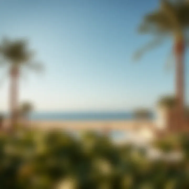 Exploring Al Majaz Island: Insights and Opportunities Summary Exploring Al Majaz Island: Insights and Opportunities Summary