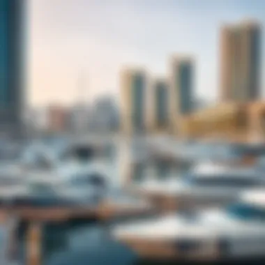A bustling marina filled with yachts and leisure activities