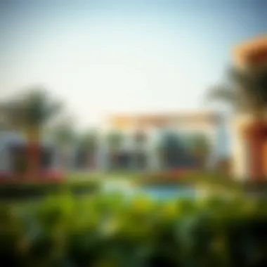 Leisure and Nature in Rashidiya Serene parks and leisure areas in Rashidiya