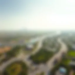 A stunning aerial view showcasing the lush landscapes of حديقه العين