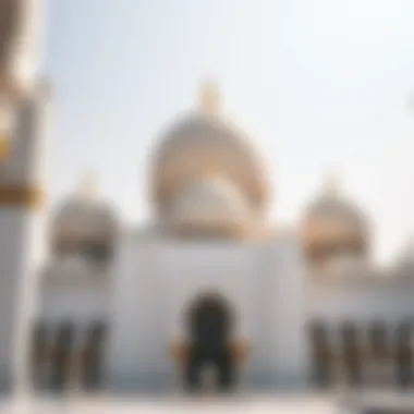 Sheikh Zayed Grand Mosque's intricate domes