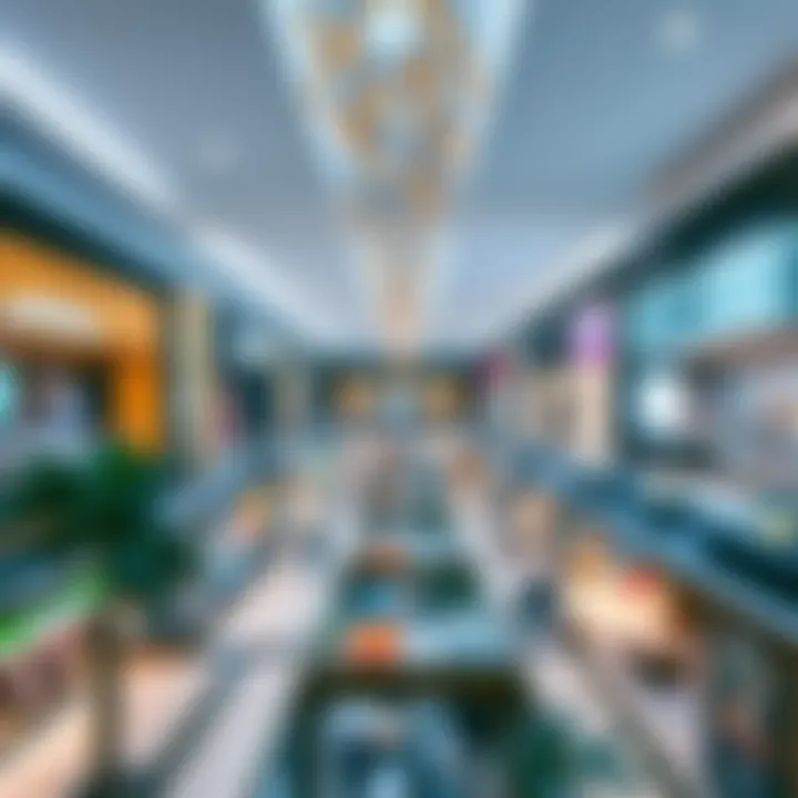A panoramic view of the diverse shopping options available at Qalaria Mall