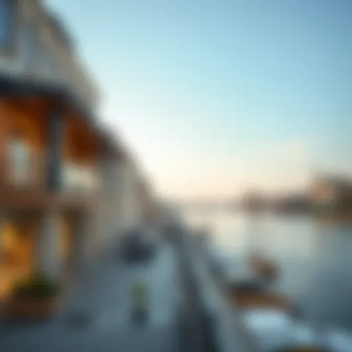 Exploring Ready-to-Move Properties Along the Danube: A Practical Guide Introduction