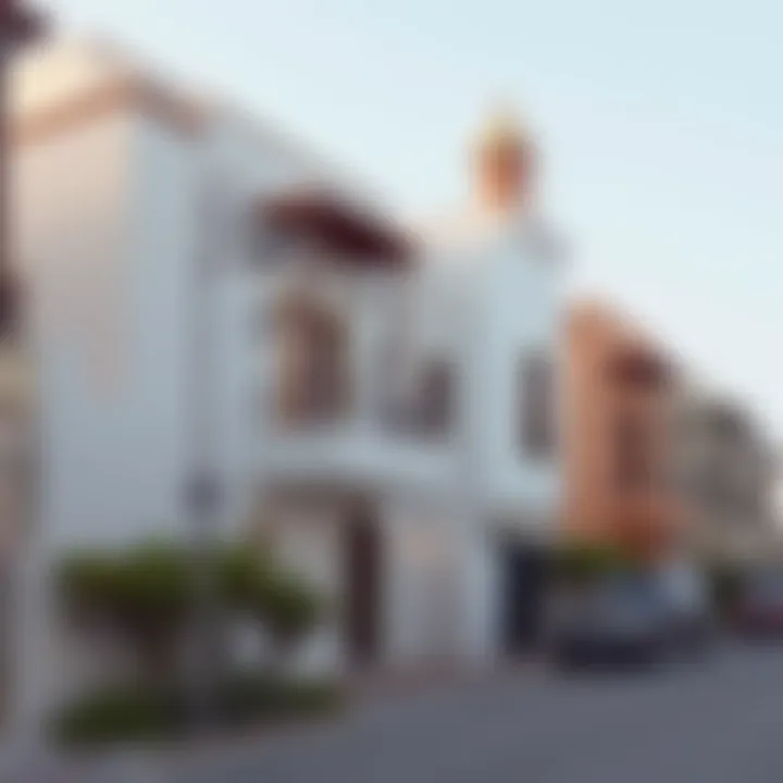 Tips for renters considering traditional homes in Dubai