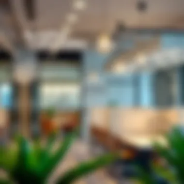 Benefits of Partitioned Spaces for Businesses Infographic illustrating benefits of partitioned spaces for businesses