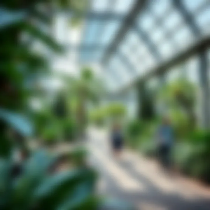 Notable Exploring the Discovery Garden at Carrefour