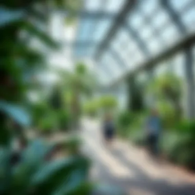 Notable Exploring the Discovery Garden at Carrefour Notable Exploring the Discovery Garden at Carrefour