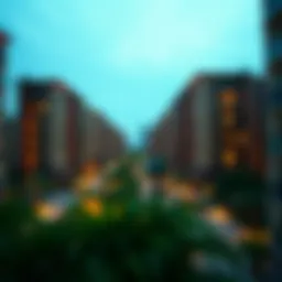 Exploring the Landscape of 1 BHK Flats for Rent in Karama Introduction