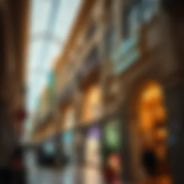 Exploring the Most Affordable Shopping Destinations in Dubai Summary