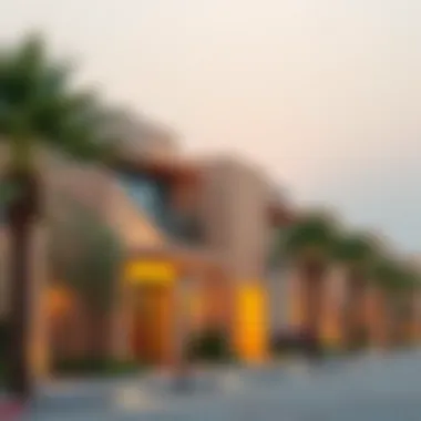 Notable Exploring Warsan Village: Dynamics of a Dubai Neighborhood Notable Exploring Warsan Village: Dynamics of a Dubai Neighborhood