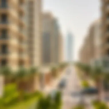 Demographic Trends in Dubai Visual representation of demographic trends in Dubai