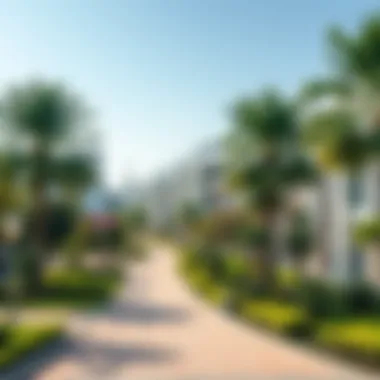 Community park in Jumeirah Village Triangle
