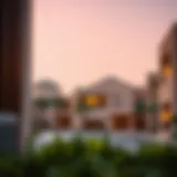 Sas Al Nakhl: An In-Depth Overview of a Unique Dubai Neighborhood Introduction