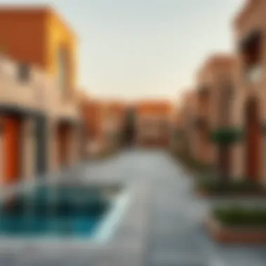 Sas Al Nakhl: An In-Depth Overview of a Unique Dubai Neighborhood Summary