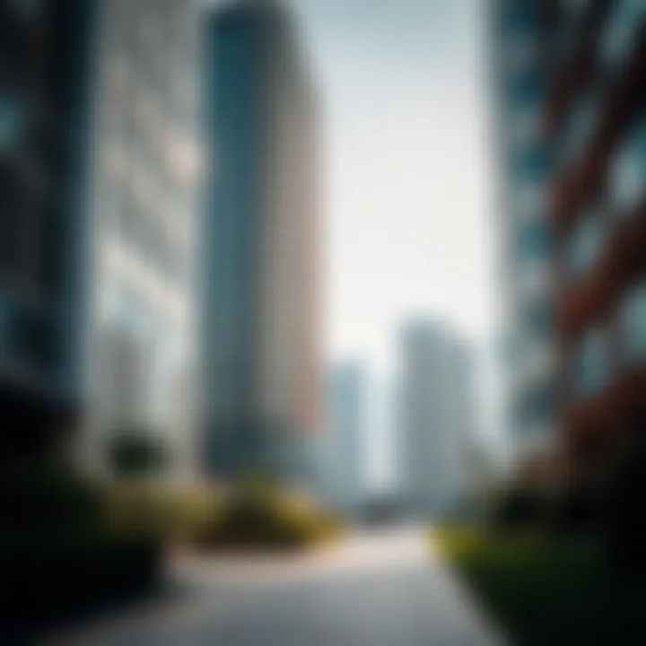 Understanding the Expat Community in Dubai Summary
