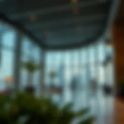 Understanding the Pricing Structure of a Three-Year Visa in the UAE Introduction